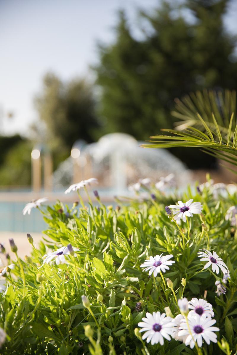Lu' Hotel Porto Pino Hotel